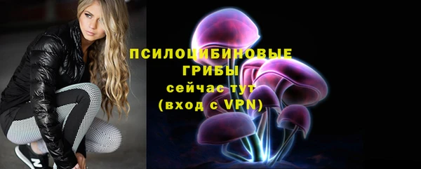 jwh Богородск