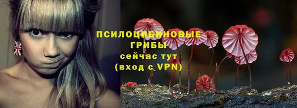 jwh Богородск