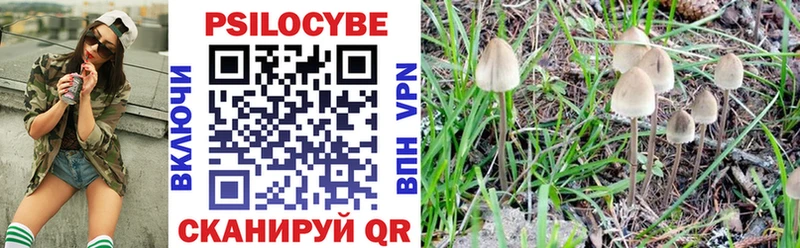 Галлюциногенные грибы Psilocybine cubensis  Гатчина 